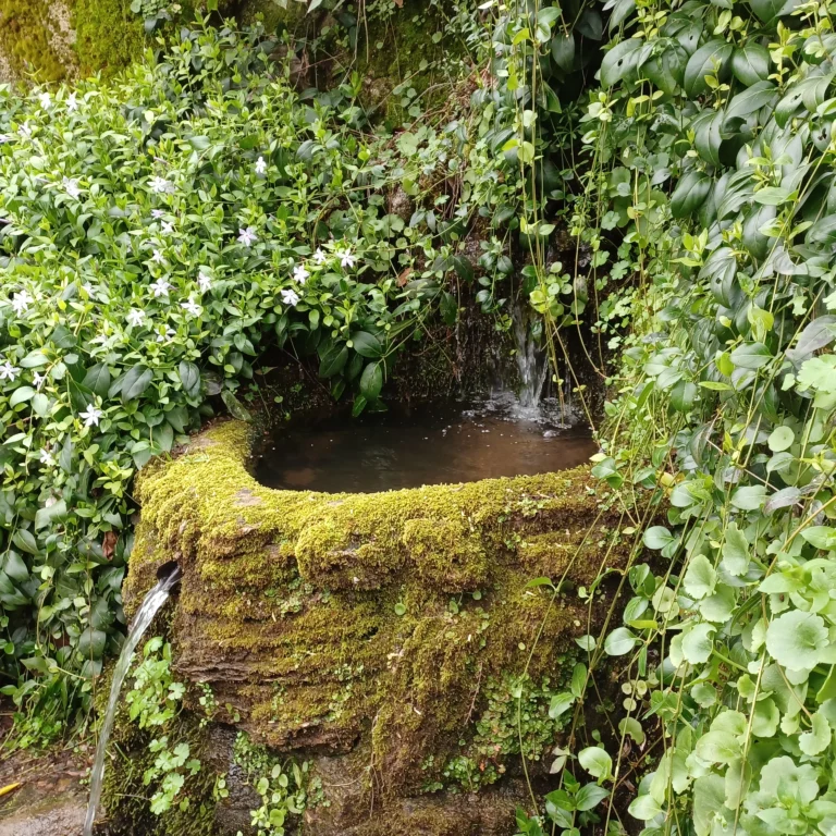 Ruta de los Molinos